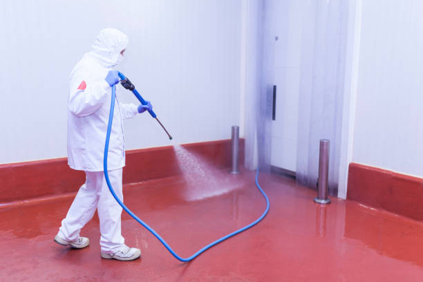 Best Sidewalk and Walkway Cleaning  in River Edge, NJ